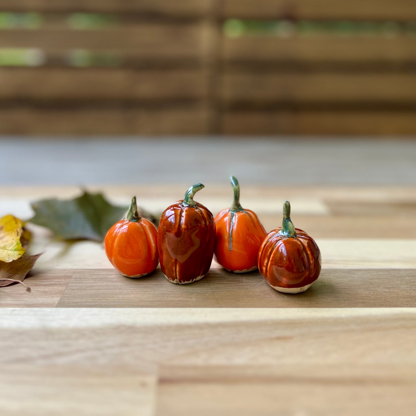 Mini Pumpkin Patch