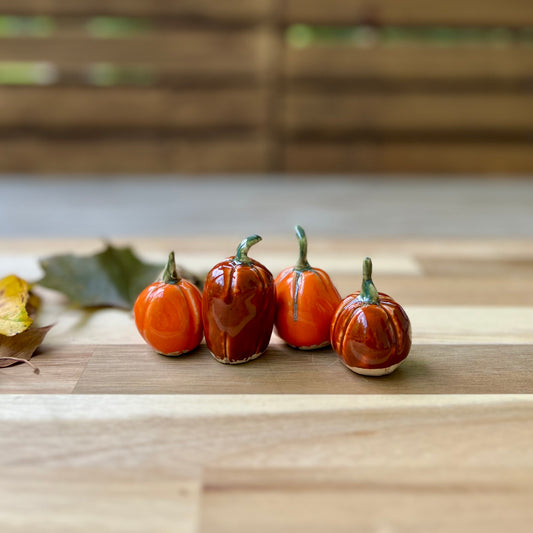 Mini Pumpkin Patch