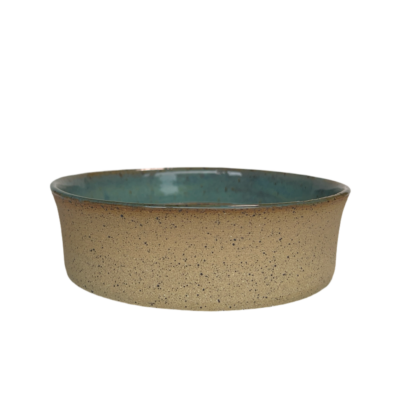 Slow Feeder Dog Bowl