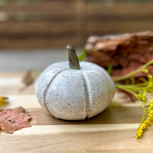 Speckled White Pumpkin