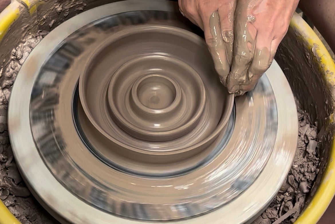 Slow Feeder Dog Bowl